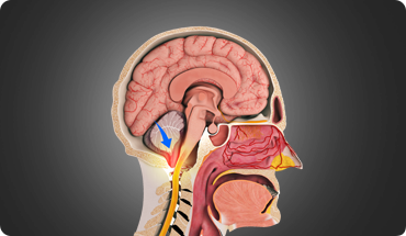 Mr. Kumar Abhinav img