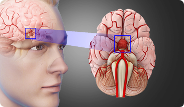 Mr. Kumar Abhinav img