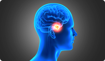 Mr. Kumar Abhinav img