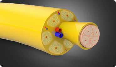 Mr. Kumar Abhinav img