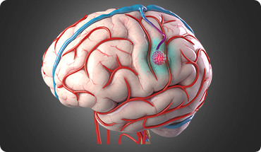 Mr. Kumar Abhinav img