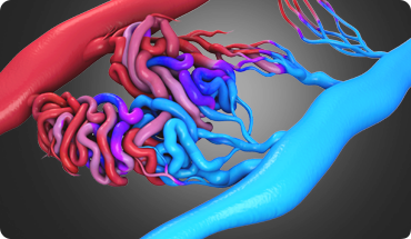 Mr. Kumar Abhinav img